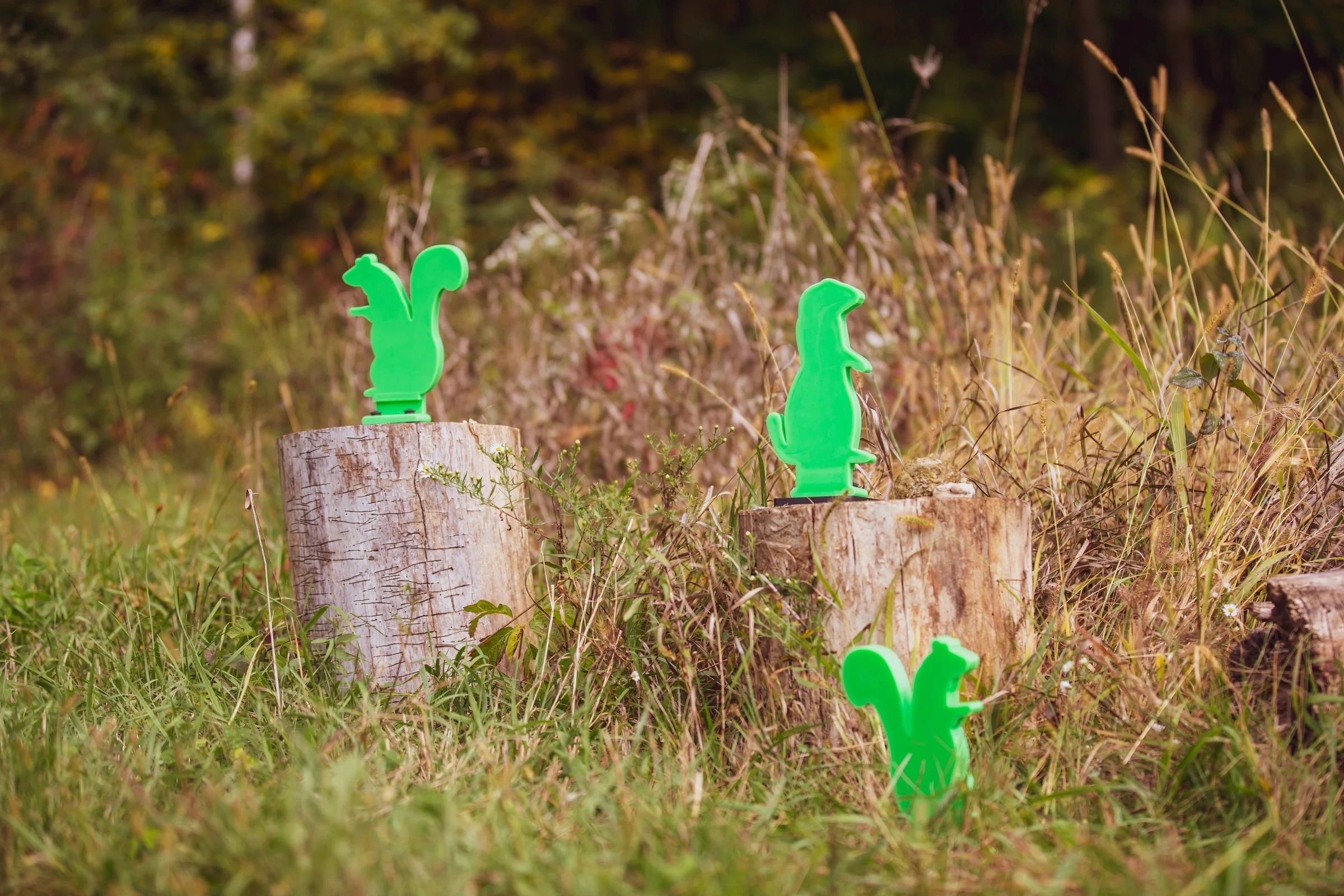 THROOM VARMINT BOUNCEBACK PLATE RACK TARGET KIT Set of 4 Targets, 4 Bases & 2 Alpha Stands - Image 3